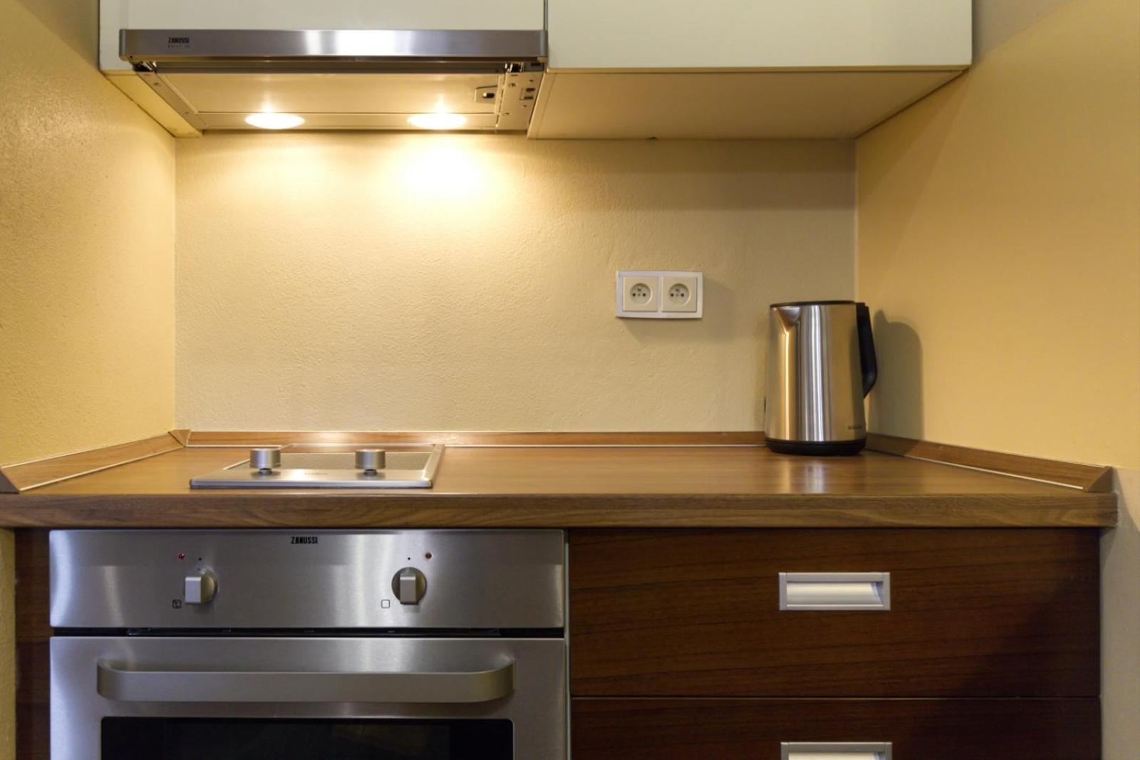 Pilsner Apartments - U Borskeho Parku Plzeň Eksteriør billede